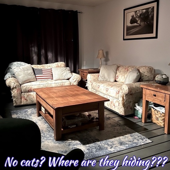 Share Show | Come Join Us Like This Post |CATSDRAGGEDITIN | Let’s Share & Sell - Picture 3 of 15